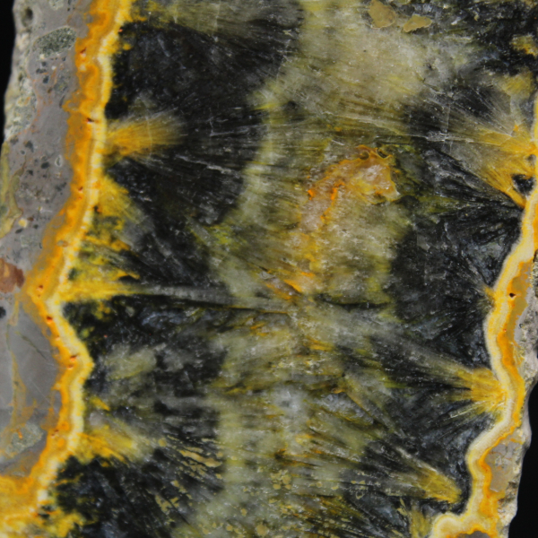 Klein gesneden exemplaar van de jaspis-hommel.