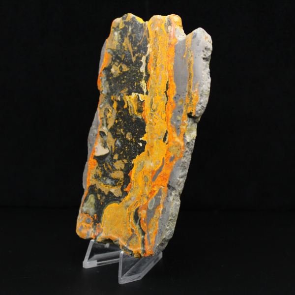 Indonesische hommeljaspis: grote gepolijste plaat