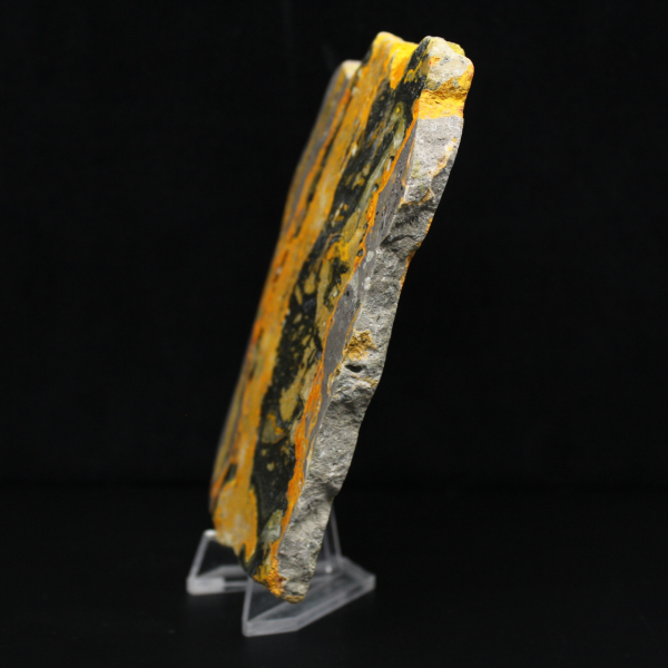 Indonesische hommeljaspis: grote gepolijste plaat