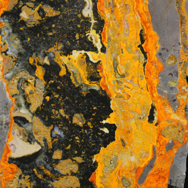 Indonesische hommeljaspis: grote gepolijste plaat