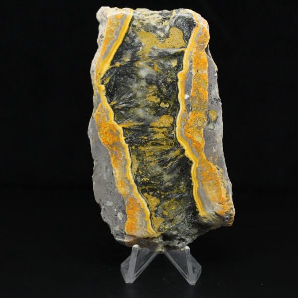 Dikke plak gepolijste Hommeljaspis