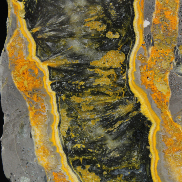 Dikke plak gepolijste Hommeljaspis