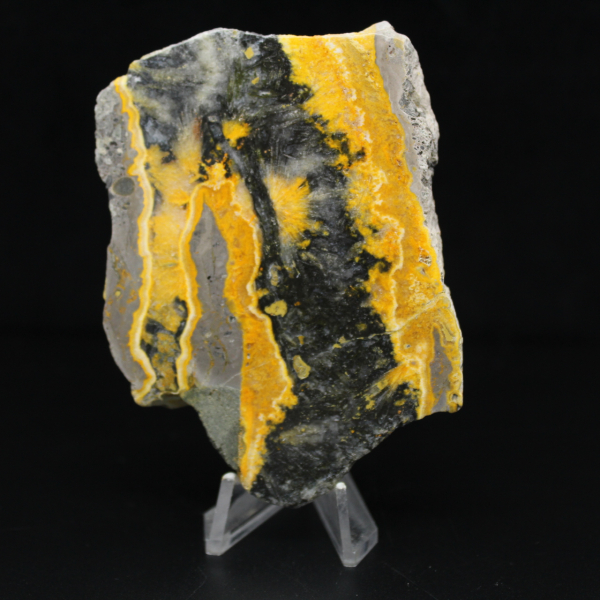 Gepolijst exemplaar van de hommeljaspis - 105 g