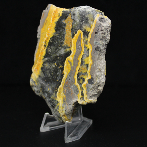 Gepolijst exemplaar van de hommeljaspis - 105 g