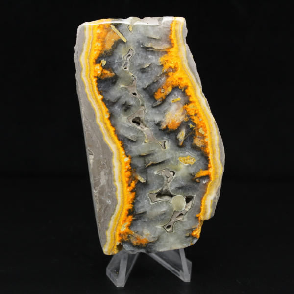 Een stevig stuk Indonesische hommeljaspis