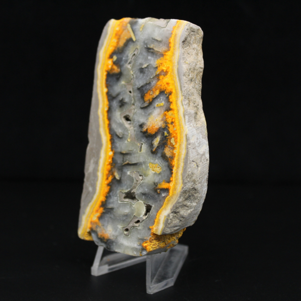 Een stevig stuk Indonesische hommeljaspis