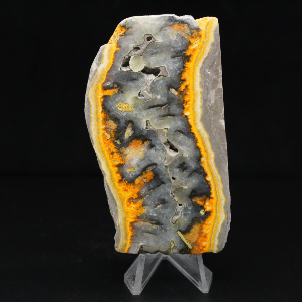 Een stevig stuk Indonesische hommeljaspis