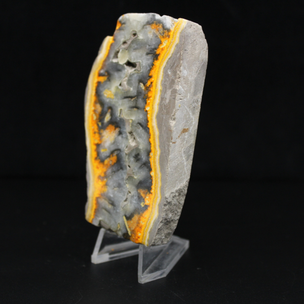 Een stevig stuk Indonesische hommeljaspis