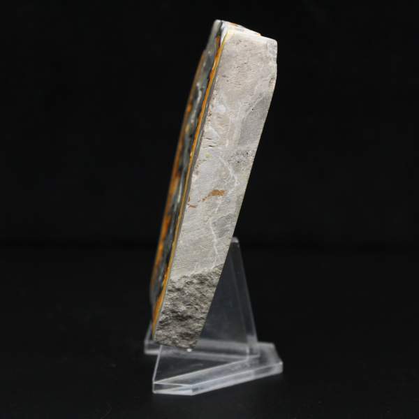 Een stevig stuk Indonesische hommeljaspis