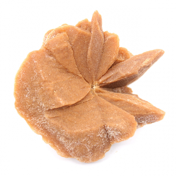 Groot woestijnrooskristal: exemplaar uit Marokko