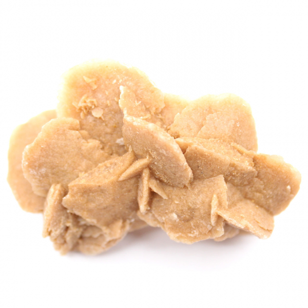 Exemplaar van gekristalliseerd gips: Woestijnroos van Marokko