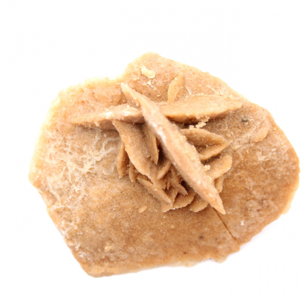 Minerale rozet van Marokko: gipskristallisatie