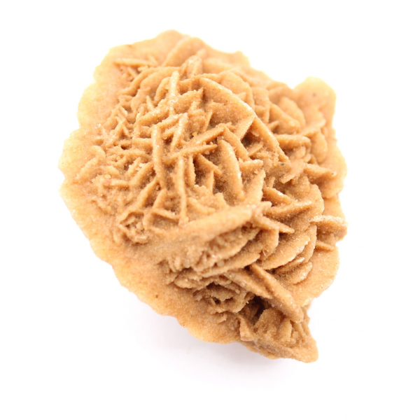 Exemplaar van Marokkaanse woestijnroos: dichte kristallisatie