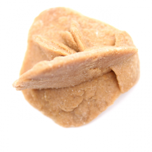 Woestijnroos van Marokko: de delicate gipskristallen