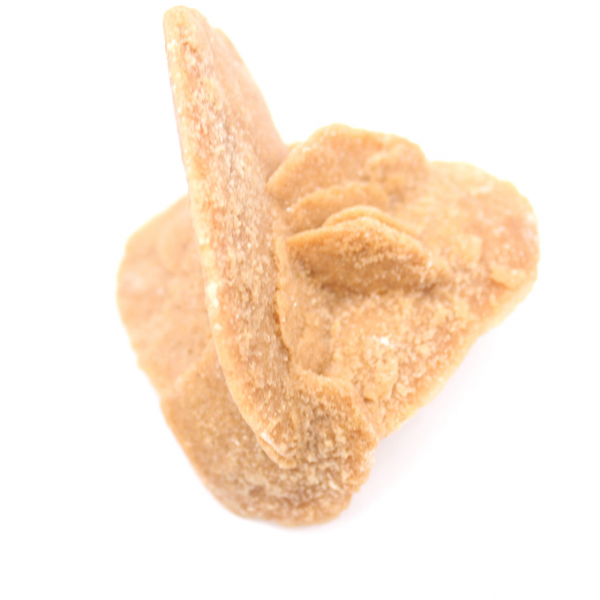 Woestijnroos van Marokko: de delicate gipskristallen