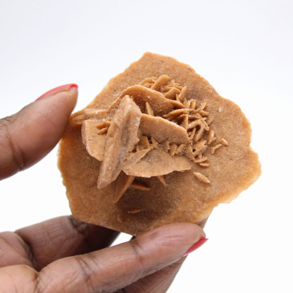 Gipsrozet uit Marokko: natuurlijk kristal uit de Sahara