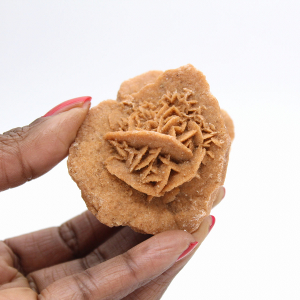 Marokkaanse woestijnroos: een kristalhelder boeket van gips.