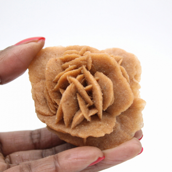 Marokkaanse woestijnroos: natuurlijk gipsboeket