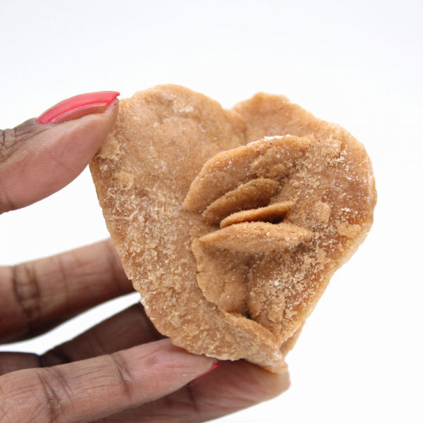 Woestijnroos van Marokko: de delicate gipskristallen