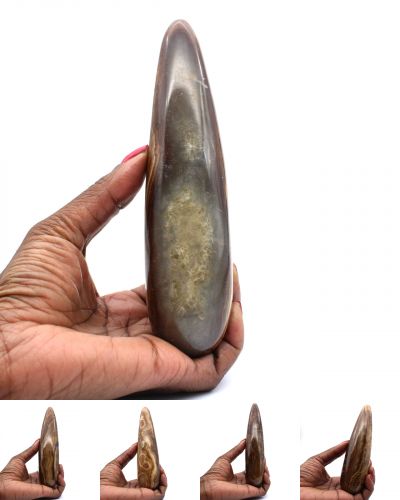 Calciet stokken Madagaskar collection januari 2024