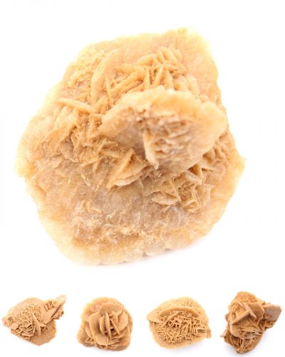 Woestijnroos Marokko collection februari 2026