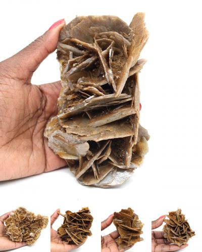 Bruine bariet Marokko collection november 2025 Bruine bariet Marokko collection november 2025