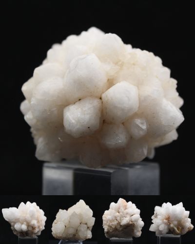 Bloemkwarts Marokko collection januari 2026 Bloemkwarts Marokko collection januari 2026