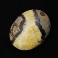 Kiezels van septaria