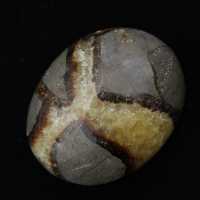 Kiezels van septaria