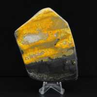 Bumblebee Polished Indonesia Collectie