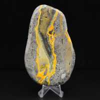 Hommeljaspis exemplaar, gepolijste wetenschappelijke collectie