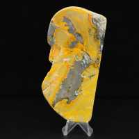 Groot, gepolijst ornament van een hommel van jaspis