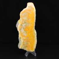 Gepolijste plak Indonesische Hommeljaspis