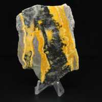 Gepolijst exemplaar van de hommeljaspis - 105 g