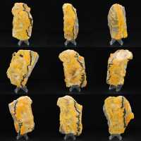 Bumblebee Jasper Bumblebee Jasper