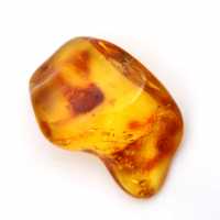 Kleine gele amberkleurige kiezelsteen – verzamelobject van fossielen
