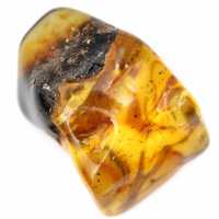 Authentieke gepolijste barnsteen uit Litouwen - Mineralogie-exemplaar Authentieke gepolijste barnsteen uit Litouwen - Mineralogie-exemplaar