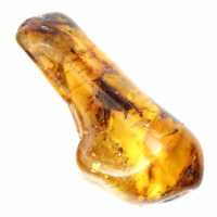 Gepolijst barnsteen kiezelsteen exemplaar - Decoratie en geologische wetenschap Gepolijst barnsteen kiezelsteen exemplaar - Decoratie en geologische wetenschap