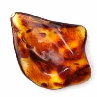 Gepolijst Litouws barnsteen: kiezelsteen voor fossielencollectie Gepolijst Litouws barnsteen: kiezelsteen voor fossielencollectie