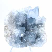 Blauwe celestien-exemplaar met glanzende kristallen