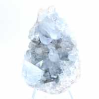 Decoratief exemplaar blauwe celestien Madagaskar