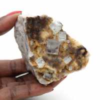 Groene fluoriet voor verzamelaars: klein exemplaar op matrix Groene fluoriet voor verzamelaars: klein exemplaar op matrix