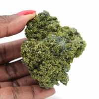 Marokkaanse epidoot op heldere matrix