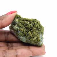 Kleine groene epidoot op Marokkaanse matrix