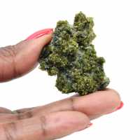 Miniatuur epidoot op Marokkaanse matrix