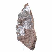 Ruwe pyrolusietkristallen, lang exemplaar