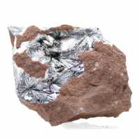 Pyrolusiet, mineralogisch specimen met matrix