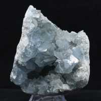 Grote Celestien Druse van Madagaskar