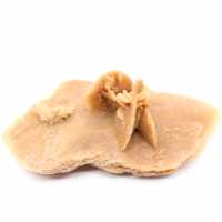 Exemplaar van een Marokkaanse woestijnroos: woestijngeometrie