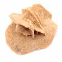 Mini Marokkaanse woestijnroos: een exemplaar van natuurlijk gips.